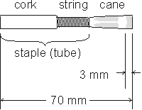 intro_reed.gif (2226 bytes)